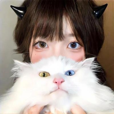 风流学生 封面